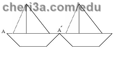 حل تمرين 5 ص 181 رياضيات 3 متوسط